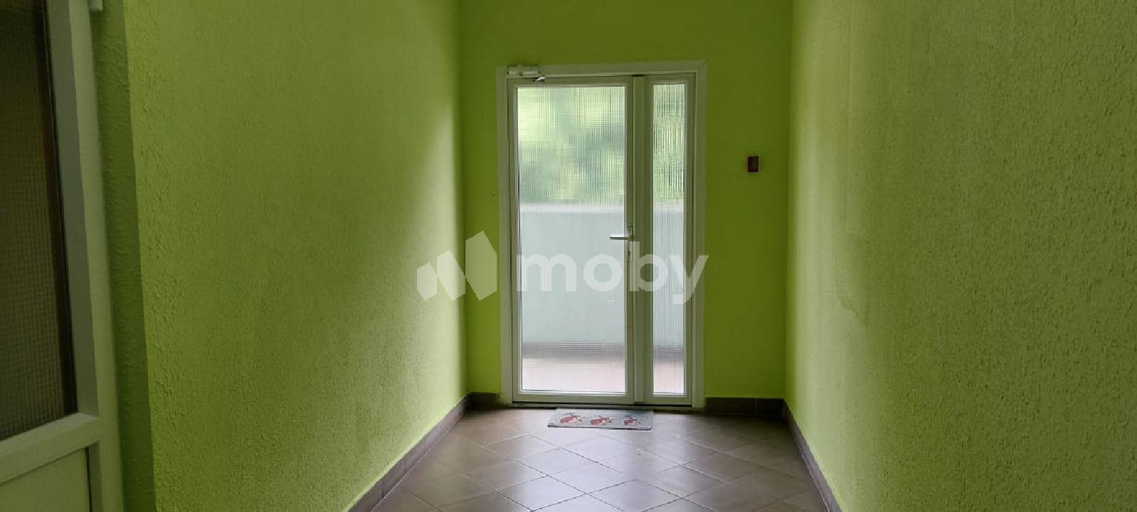 Фото: 00d26cc6-71f7-4abf-bf63-b86b8e41b06d.jpg