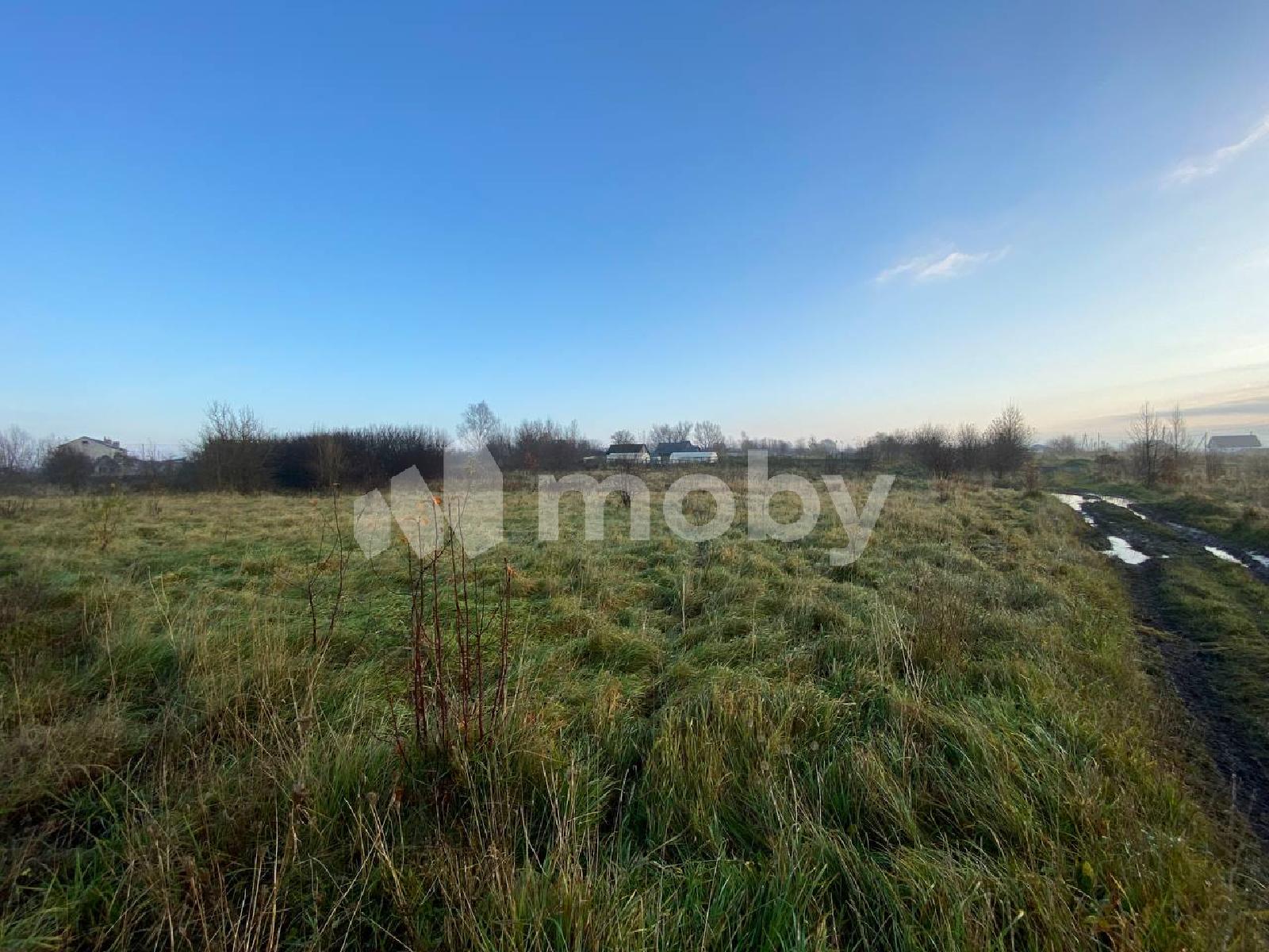 Фото: 017bfcc1-a046-4257-9cf1-9d969237bc6f.jpg