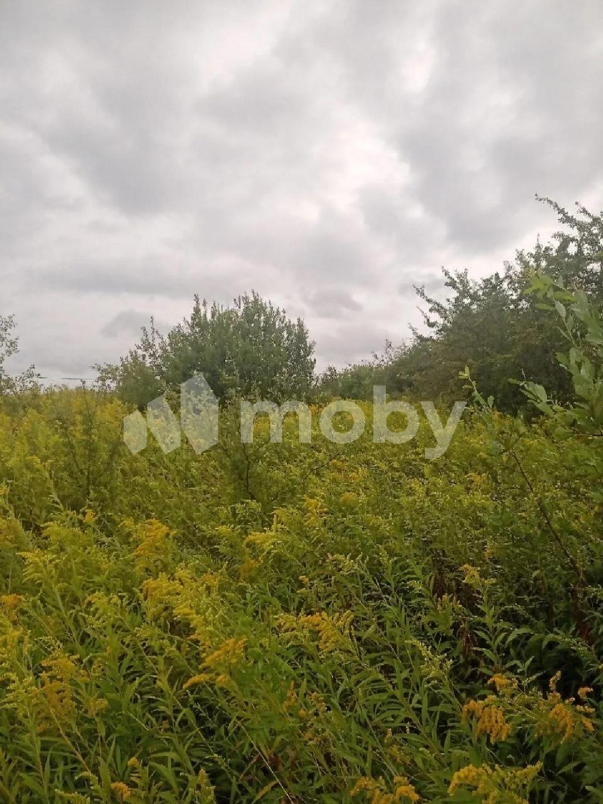 Фото: 0249e4a4-ce26-42ab-90c9-e7c472f1f9d0.jpg