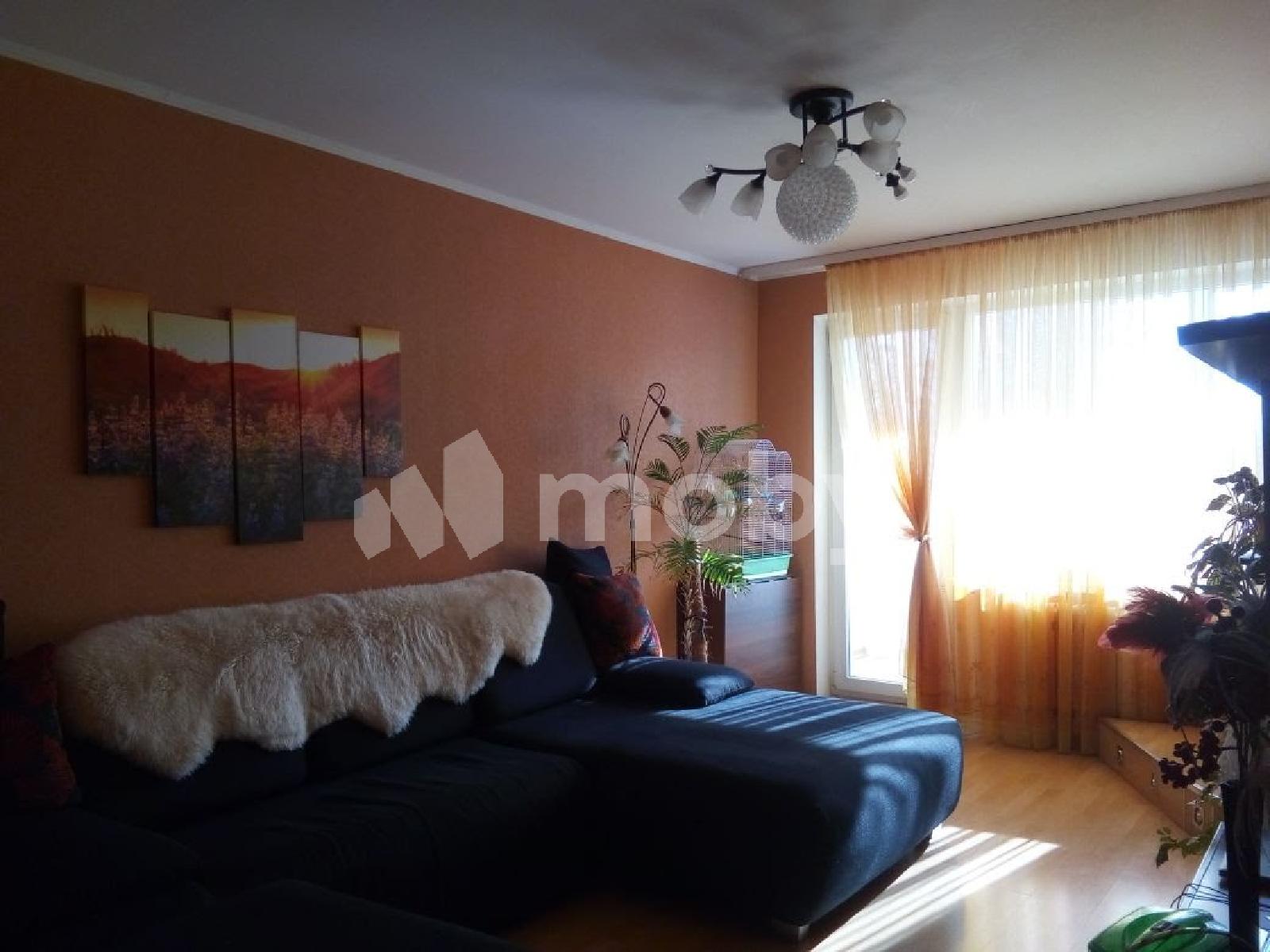 Фото: 02725369-d42f-4c23-b9e2-257aca00f3b1.jpg