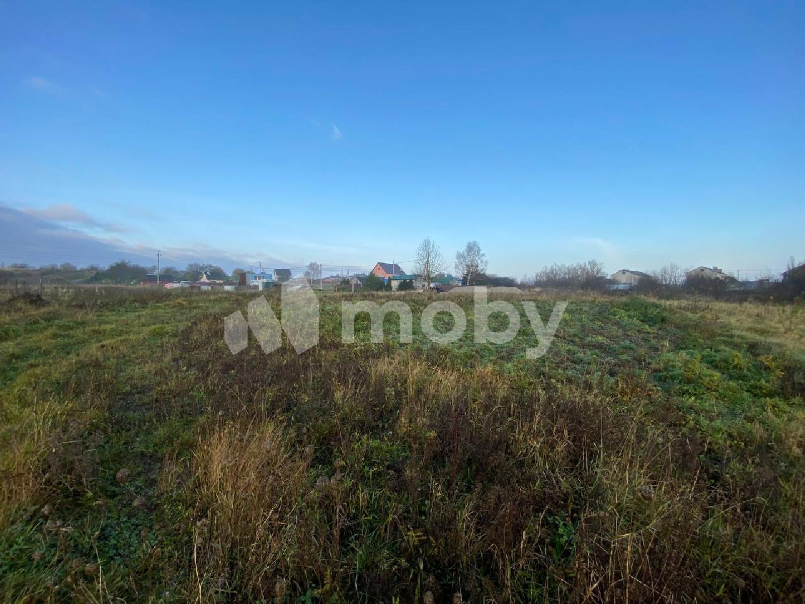 Фото: 03226c87-fa84-46ad-9307-78921665d0ac.jpg