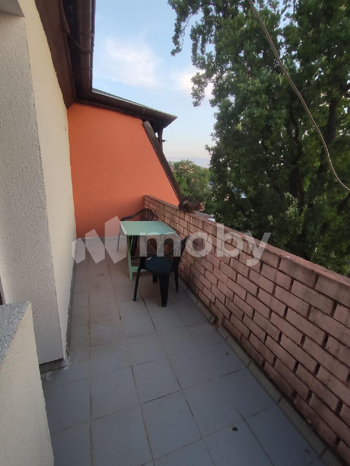 Фото: 03469ace-b249-46b8-b1f1-51eca633ebd8.jpg