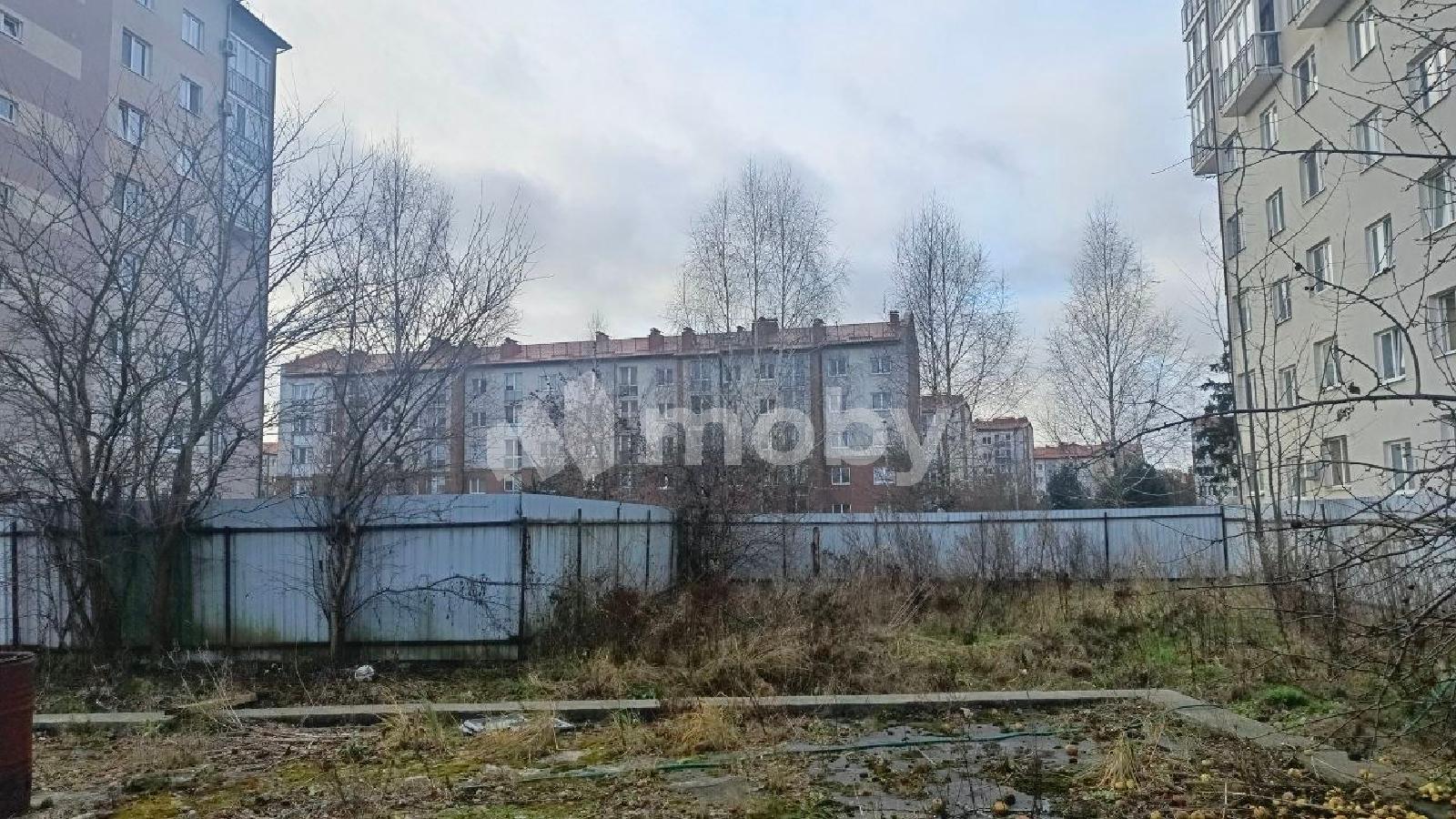 Фото: 0359d440-594d-4fb8-b557-5ff28552e123.jpg