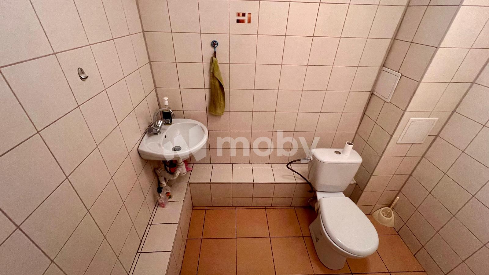 Фото: 047030e4-9bba-42c1-b506-5f6db3a23655.jpeg