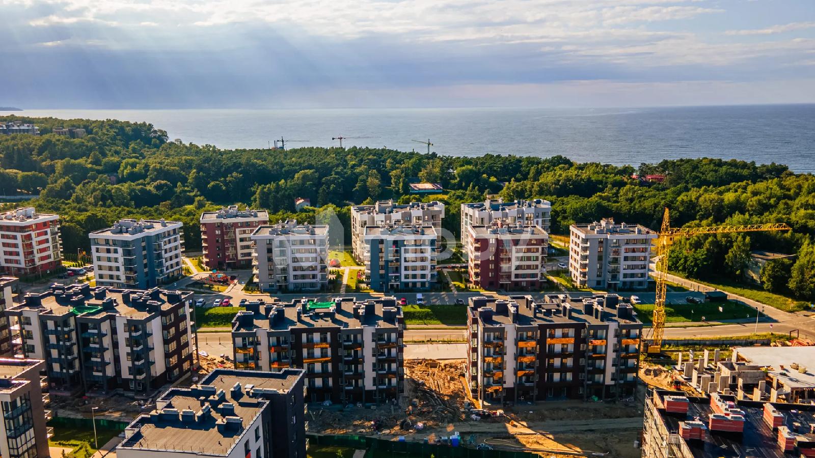 Фото: 04ff2253-ac14-49a9-aa2d-e8d7be92696a.jpg