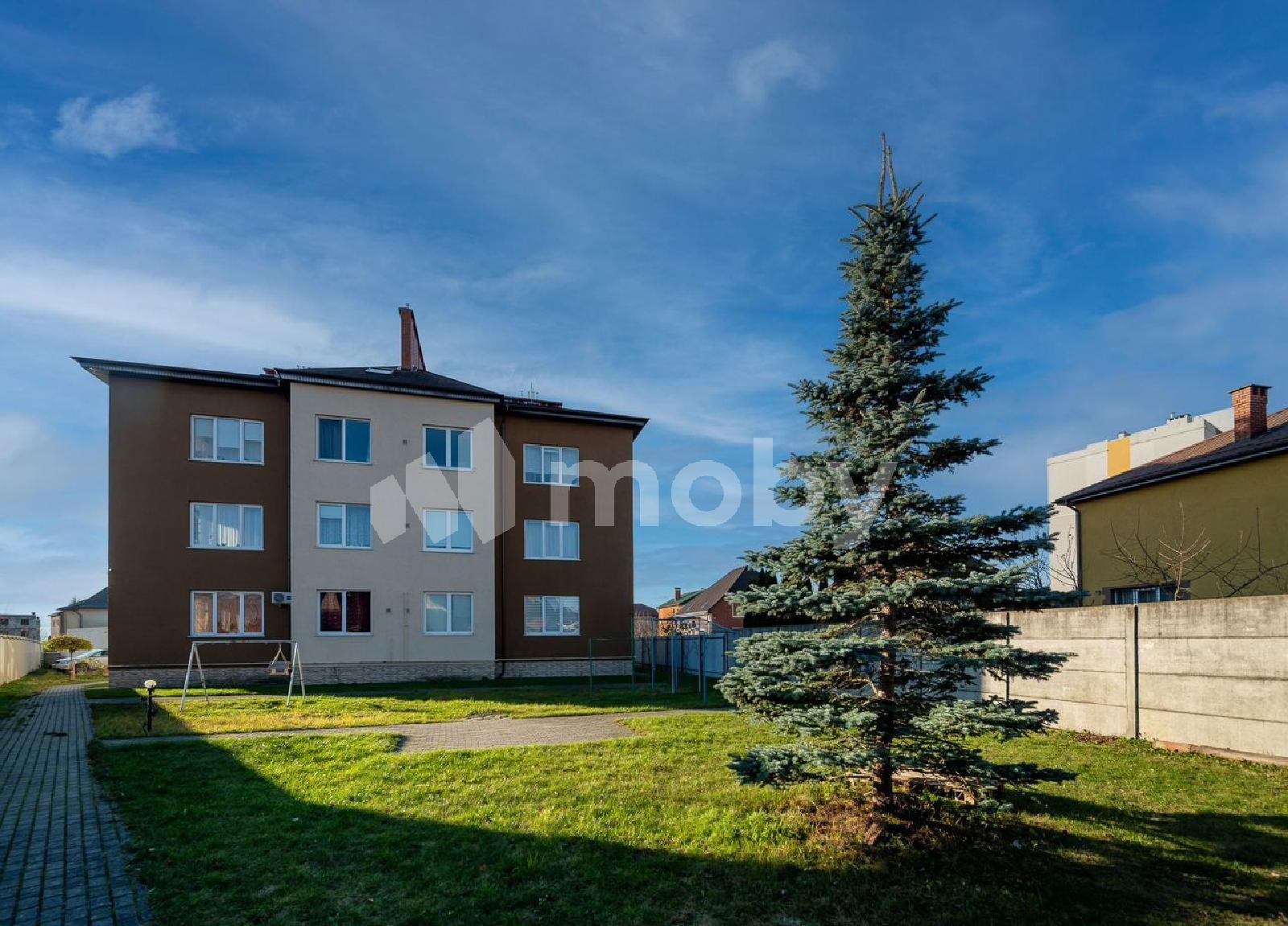 Фото: 050a5bba-b683-437f-ad46-a1b08aada64a.jpg