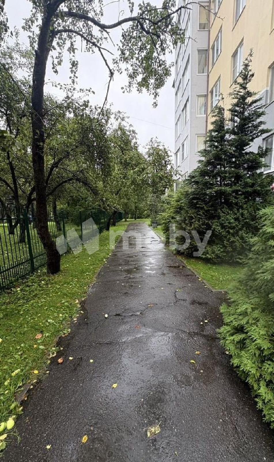 Фото: 06b35aea-553e-4b16-a2e0-e812b2d34d9f.jpg