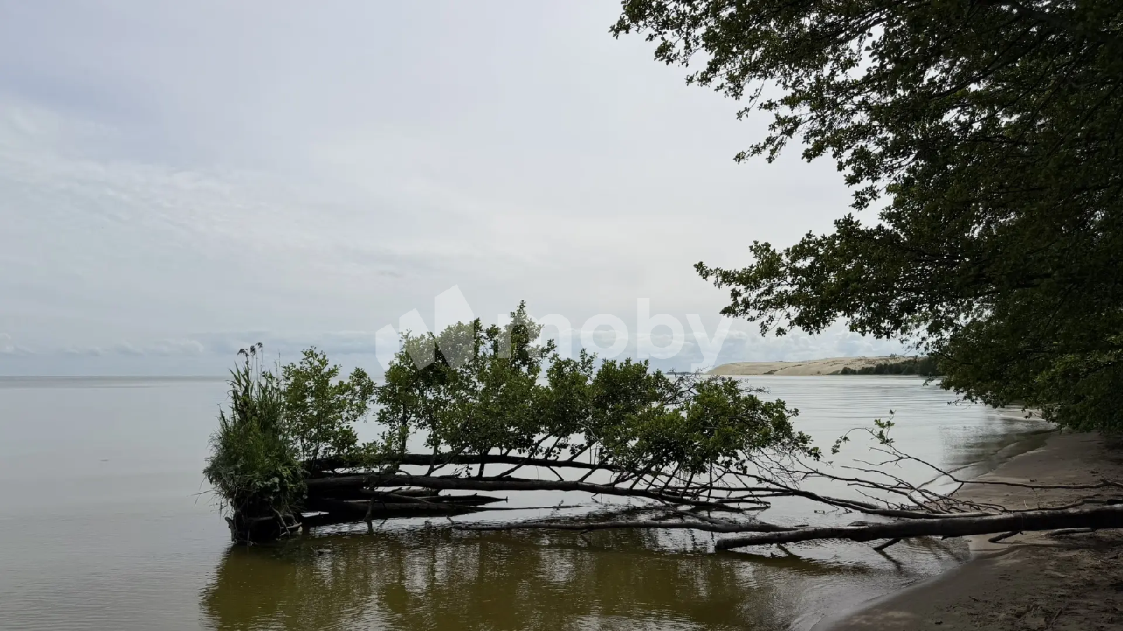 Фото: 07af32e8-495d-430a-a14f-1dac4997aa68.png