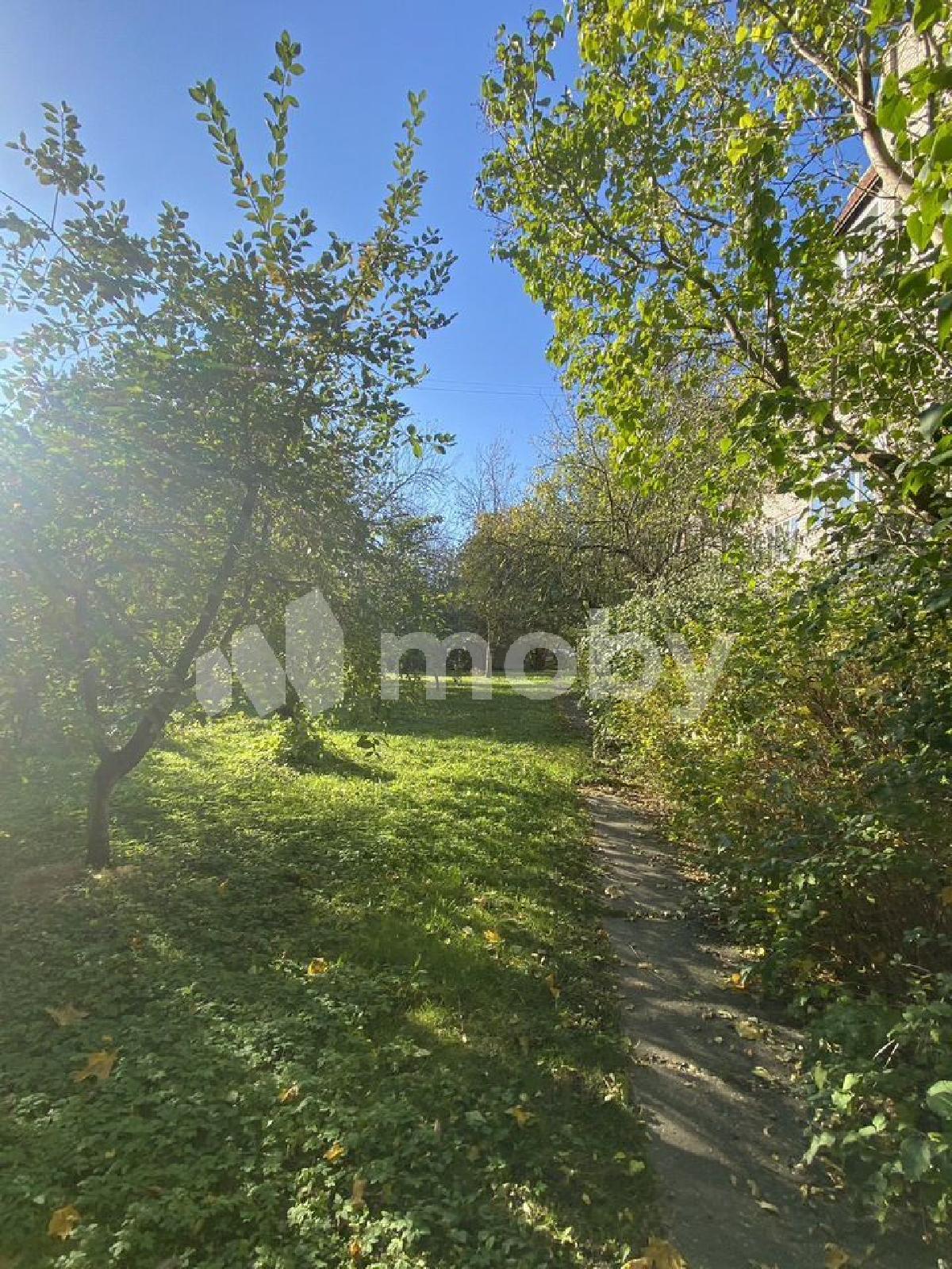 Фото: 084dfdbb-f941-4a7d-9c20-12b1a71ef69e.jpg