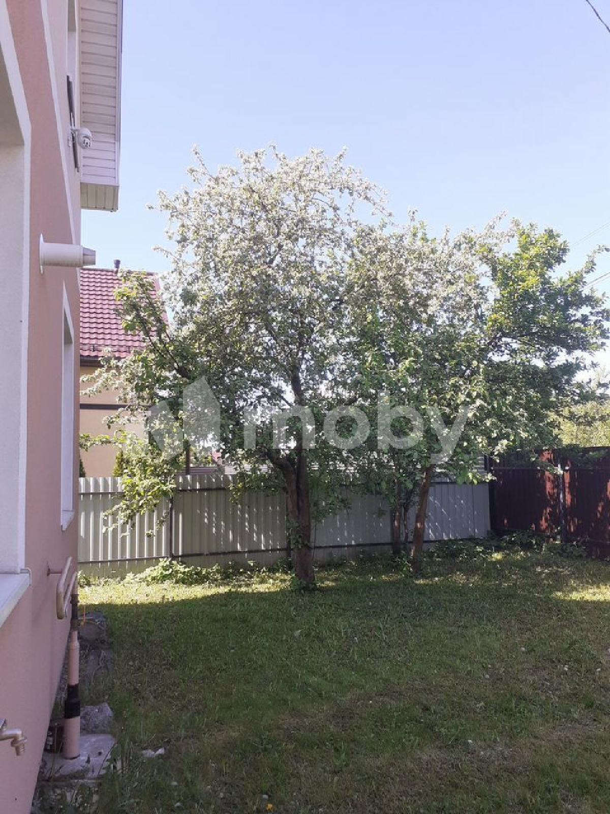 Фото: 08958165-dc1d-4be6-a73c-36946bccd031.jpg