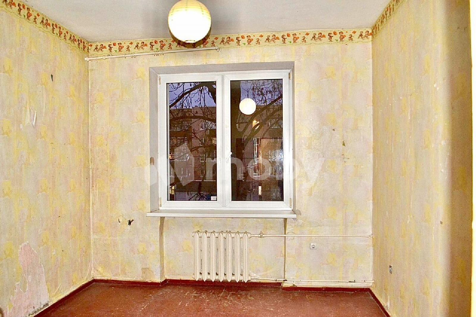 Фото: 089a19bc-b7dc-4dd9-b903-e97a9dc6bb37.jpg