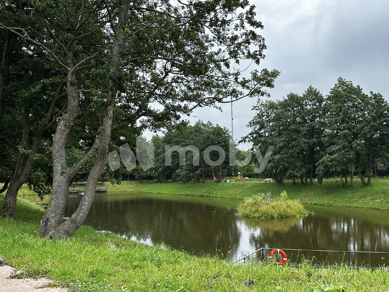 Фото: 0a5072ab-1a66-4053-95c9-386707f3ae08.png