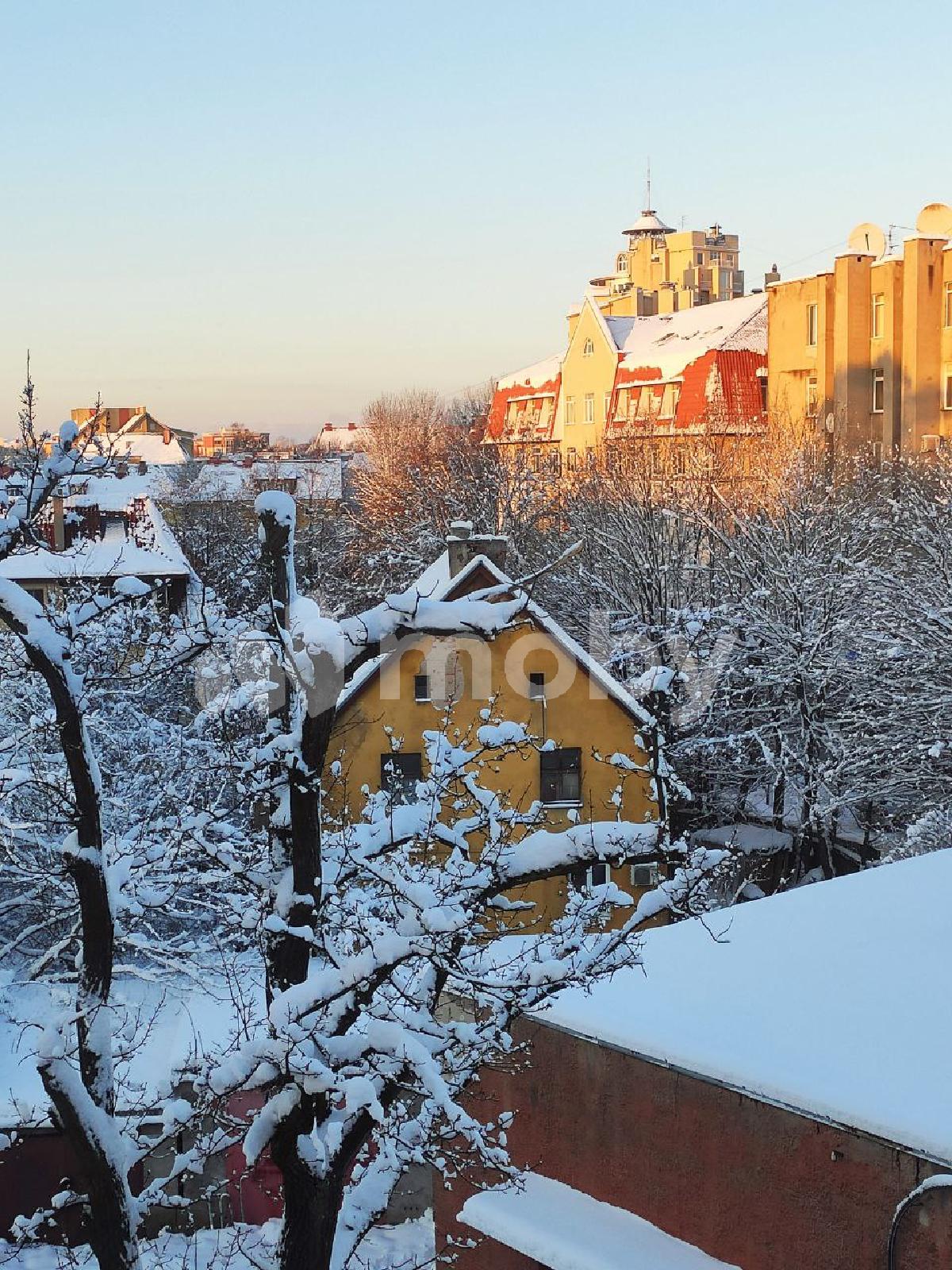 Фото: 0a845742-a66e-4474-98b0-71de82a47c3d.jpg