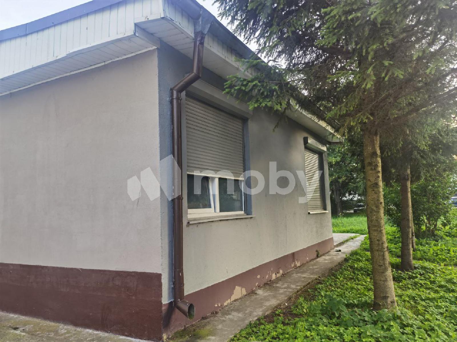 Фото: 0b84780b-06ce-4fe1-aad1-7e408ad3c2a7.jpg