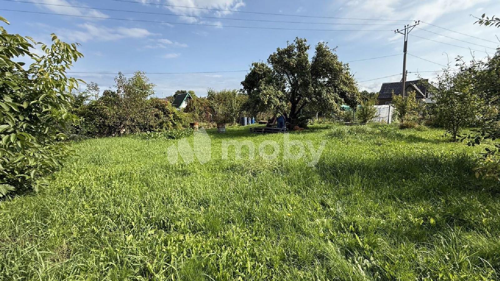 Фото: 0ce80231-5aa4-49ef-b28a-4b6e45e4e9eb.jpg