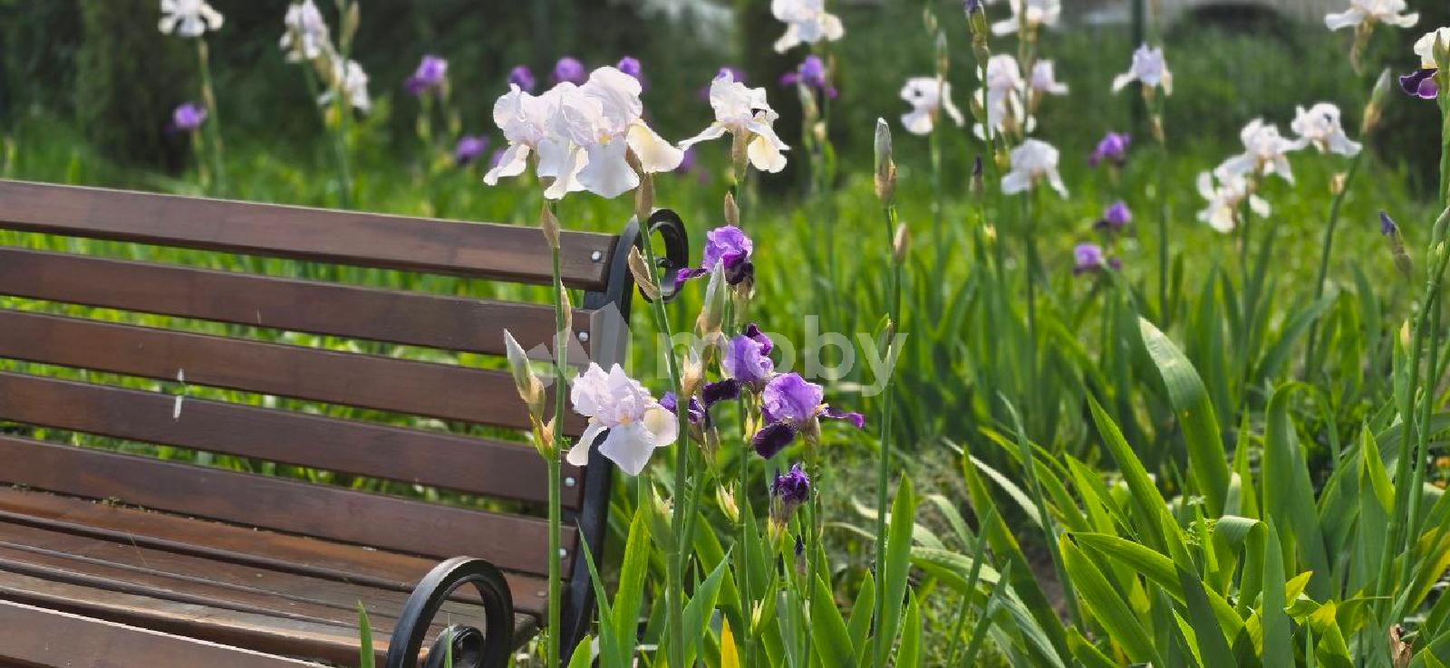 Фото: 0cfef344-7e99-404b-beb9-65bffb2586cc.jpg