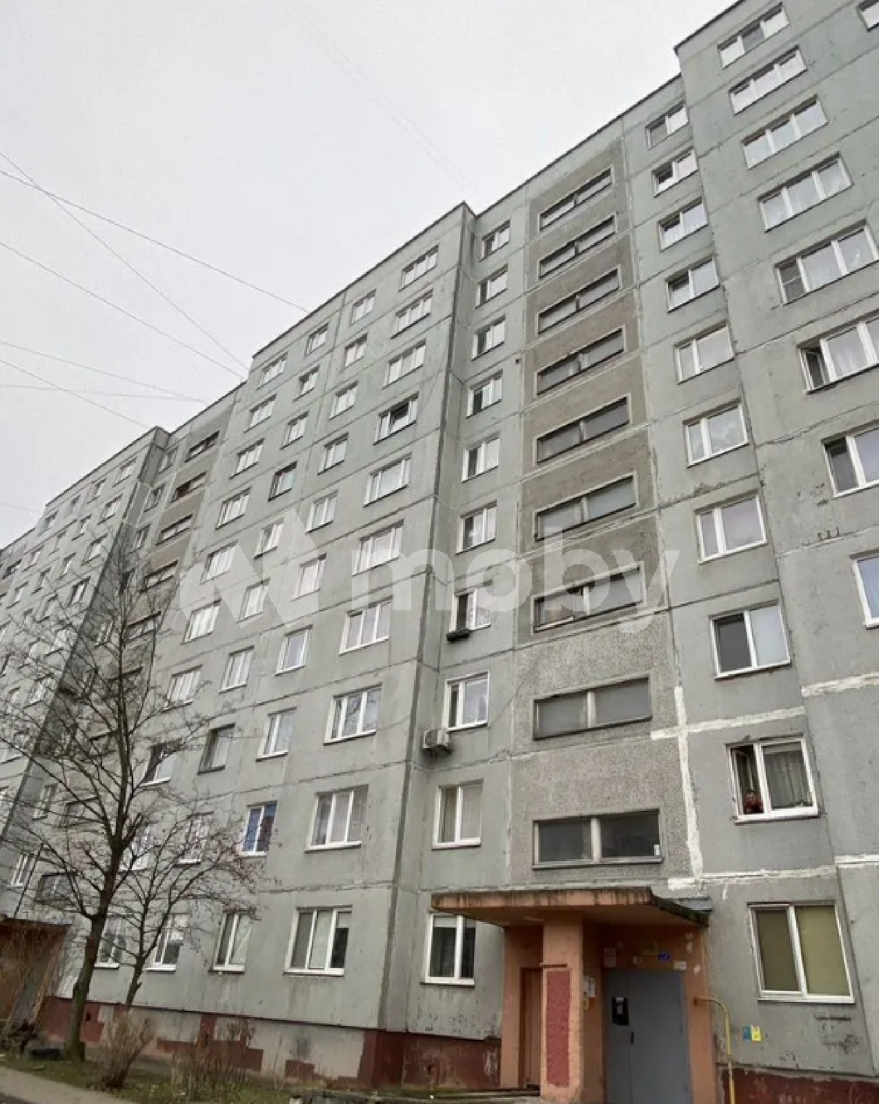 Фото: 0d407916-caf8-487a-a17b-145aa8bdd1cc.png