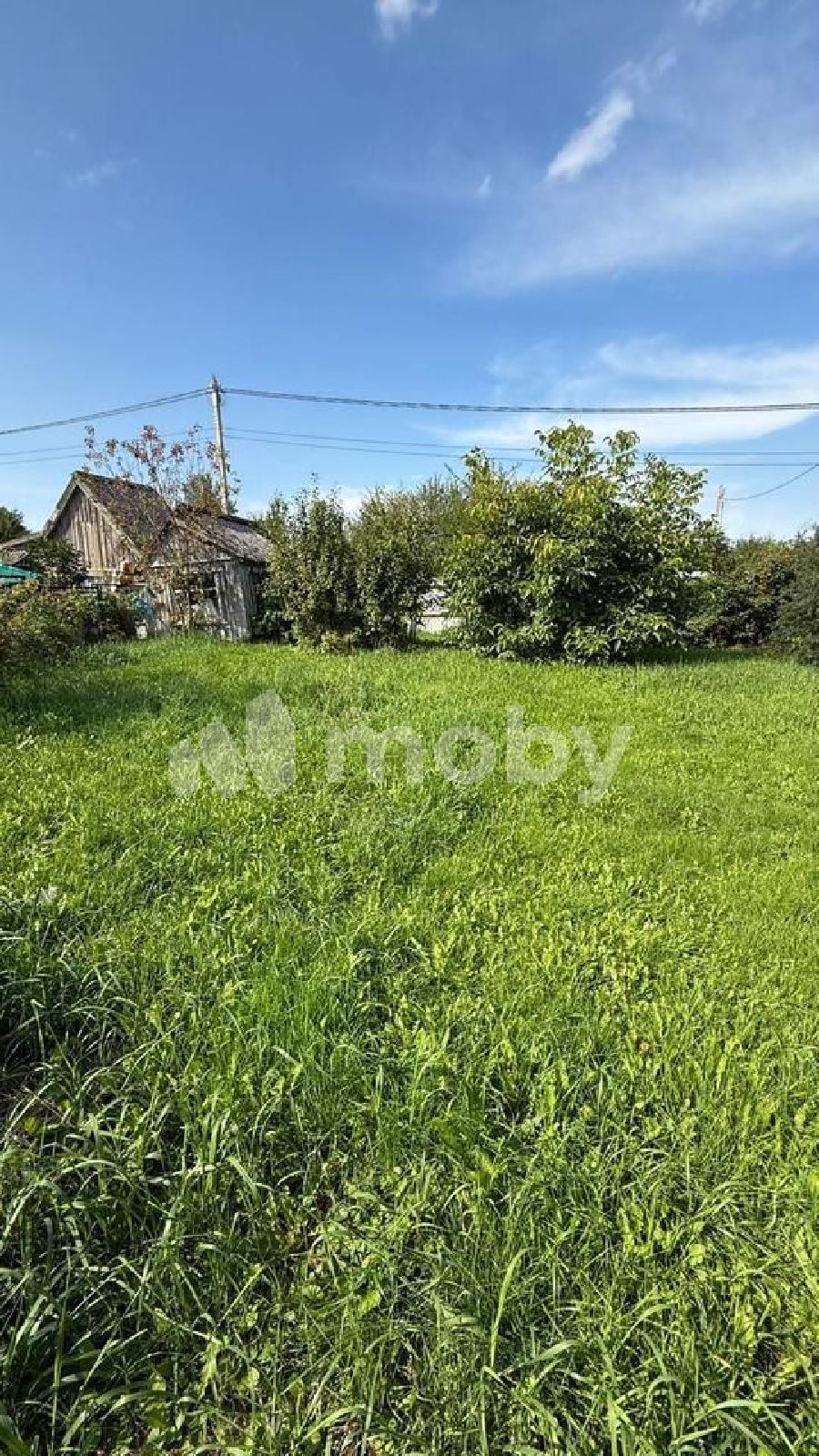 Фото: 0d7df747-f298-4f0d-9ca7-30520b5e13ae.jpg