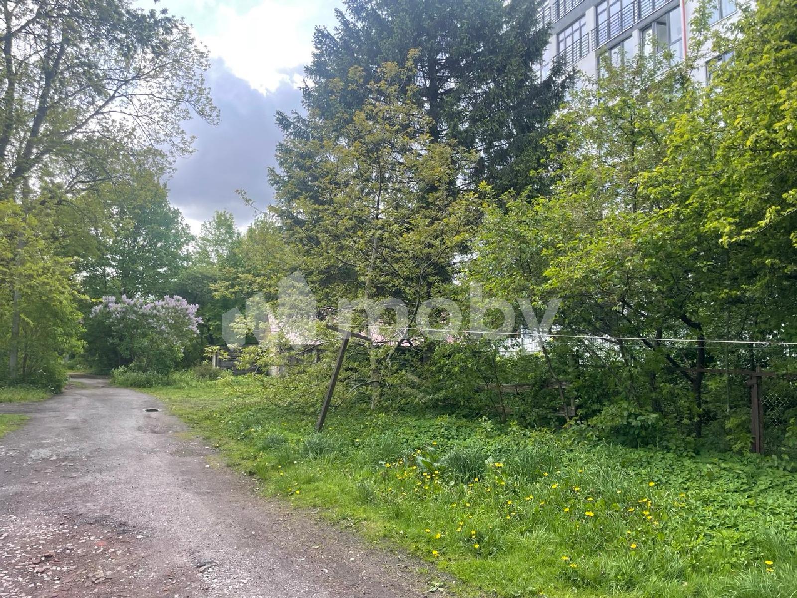 Фото: 0dff68af-faaa-4850-bfdb-b51f3909bdcf.jpg