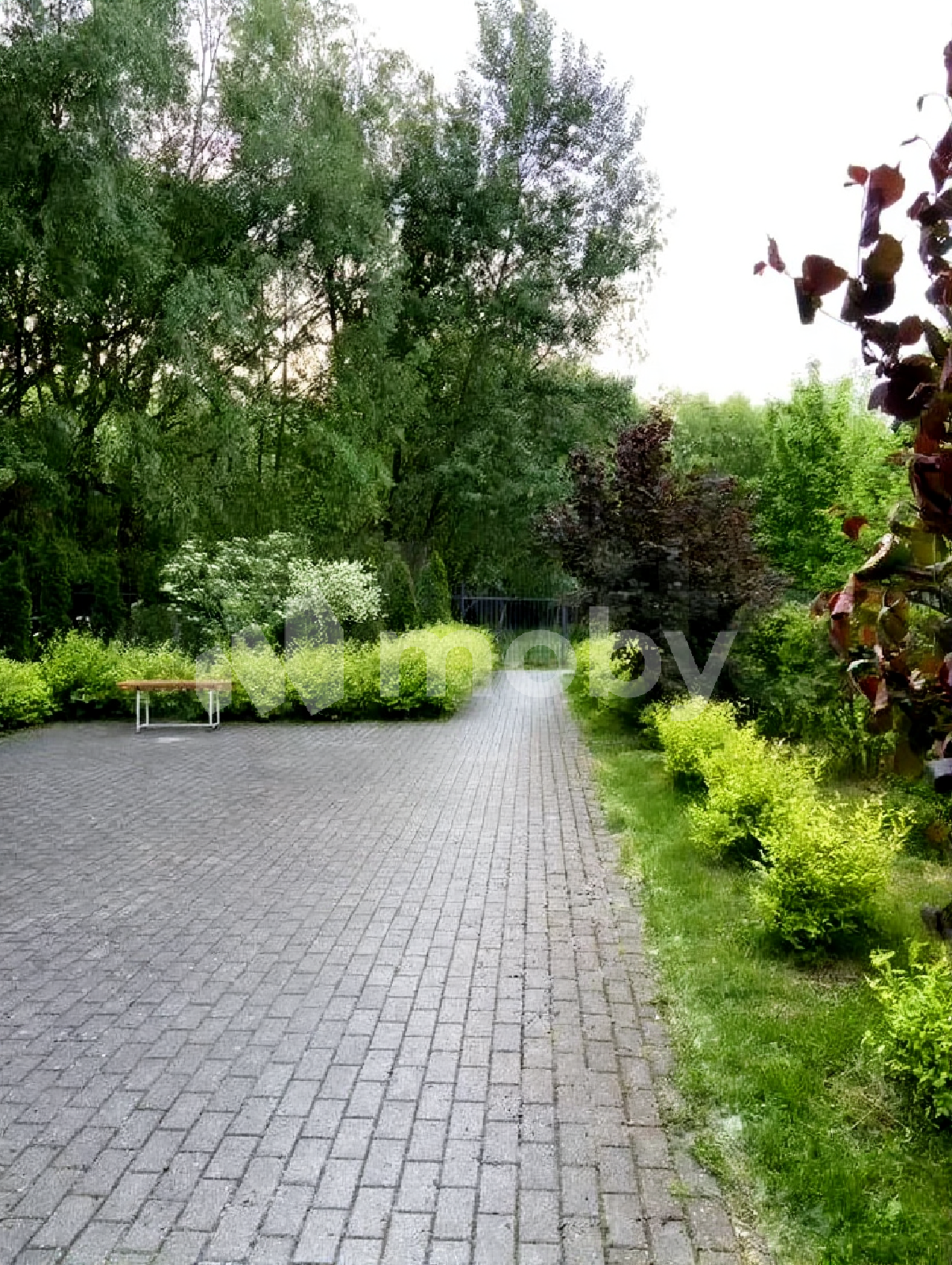 Фото: 0e05d30e-9eb2-4e1b-a83b-aee6d6f73a43.png