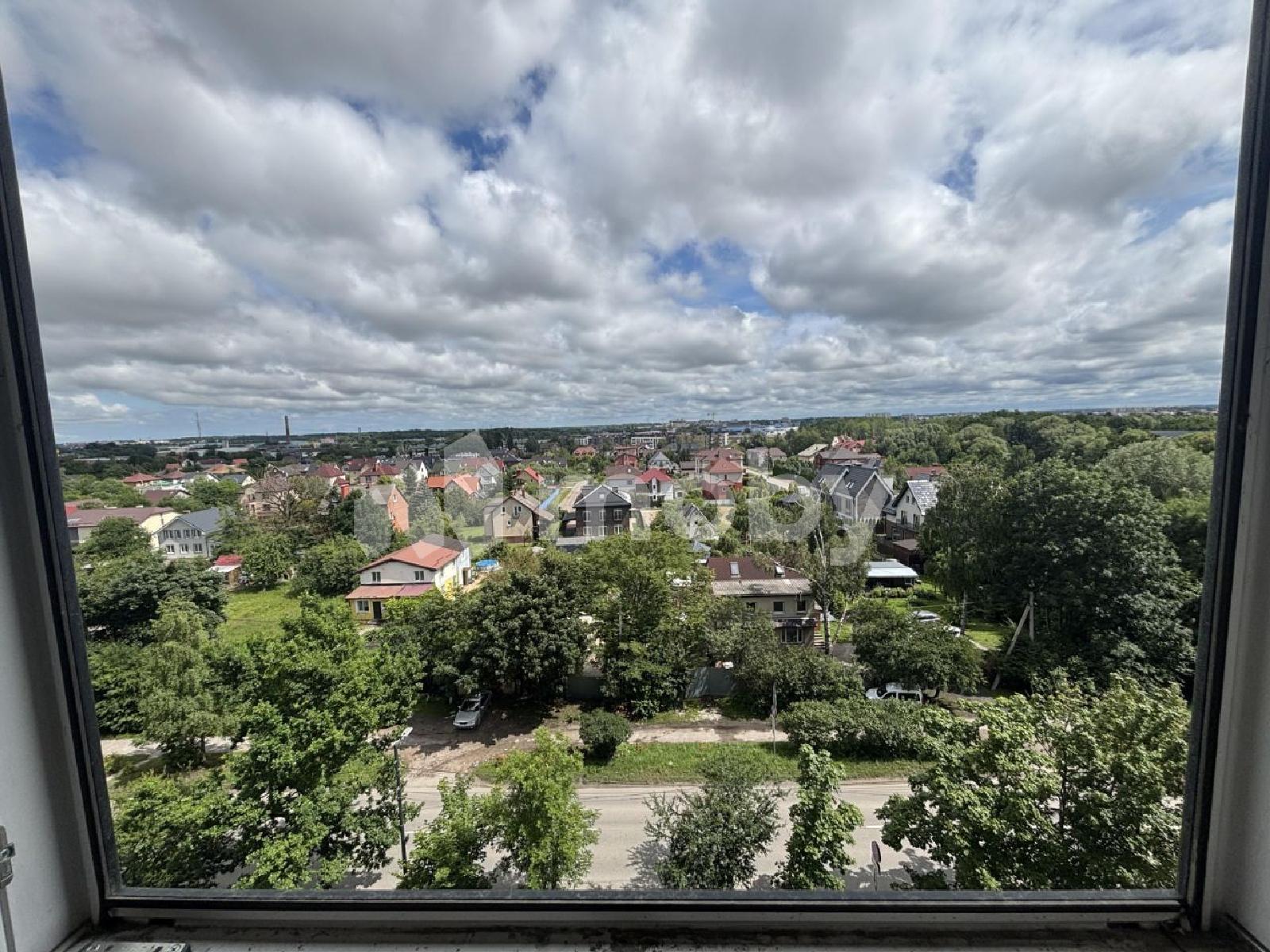 Фото: 0e743d81-ecf5-4168-958b-57270d605e0e.jpg
