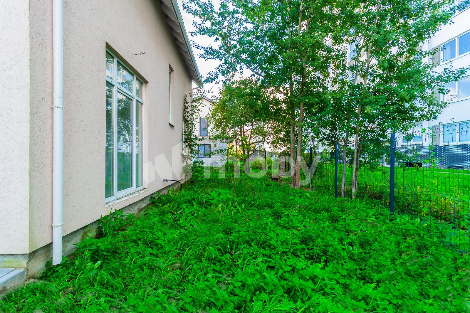 Фото: 102693c6-b490-442e-b4dd-a8e5a704e3b7.jpg