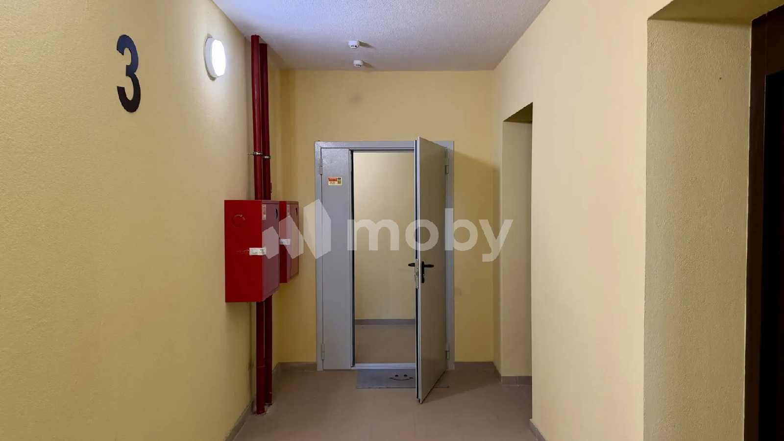 Фото: 108ae955-1c22-49a8-bbd0-eab4b622f534.png
