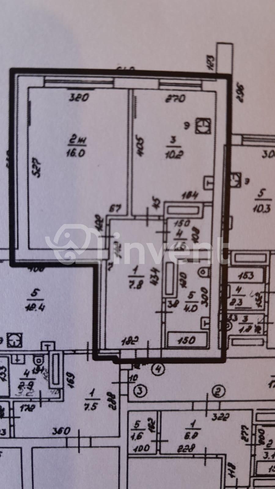 Фото: 10dce80a-9001-4acc-bce8-d8255f19812d.jpeg