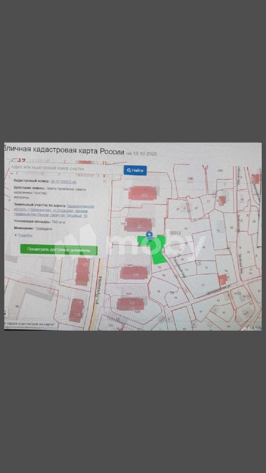 Фото: 113bbd86-9221-47bd-bf16-3d9e3251fe42.jpg