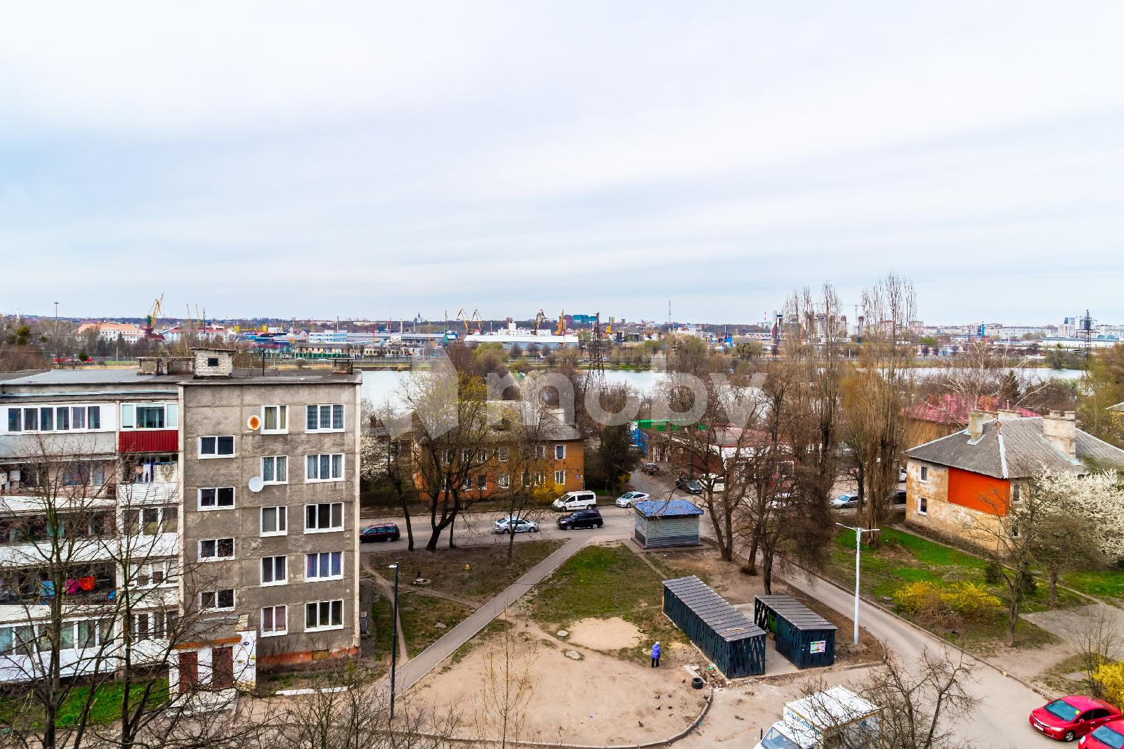 Фото: 116c8898-9b3e-4f5c-8aa3-57a4502752dc.jpg