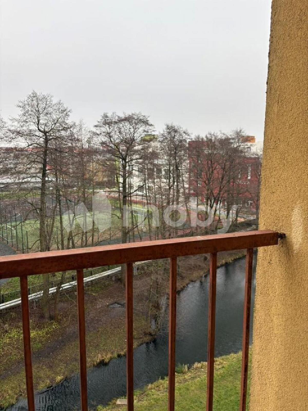 Фото: 1266a960-df21-401b-b6eb-cf8681eae4de.jpg