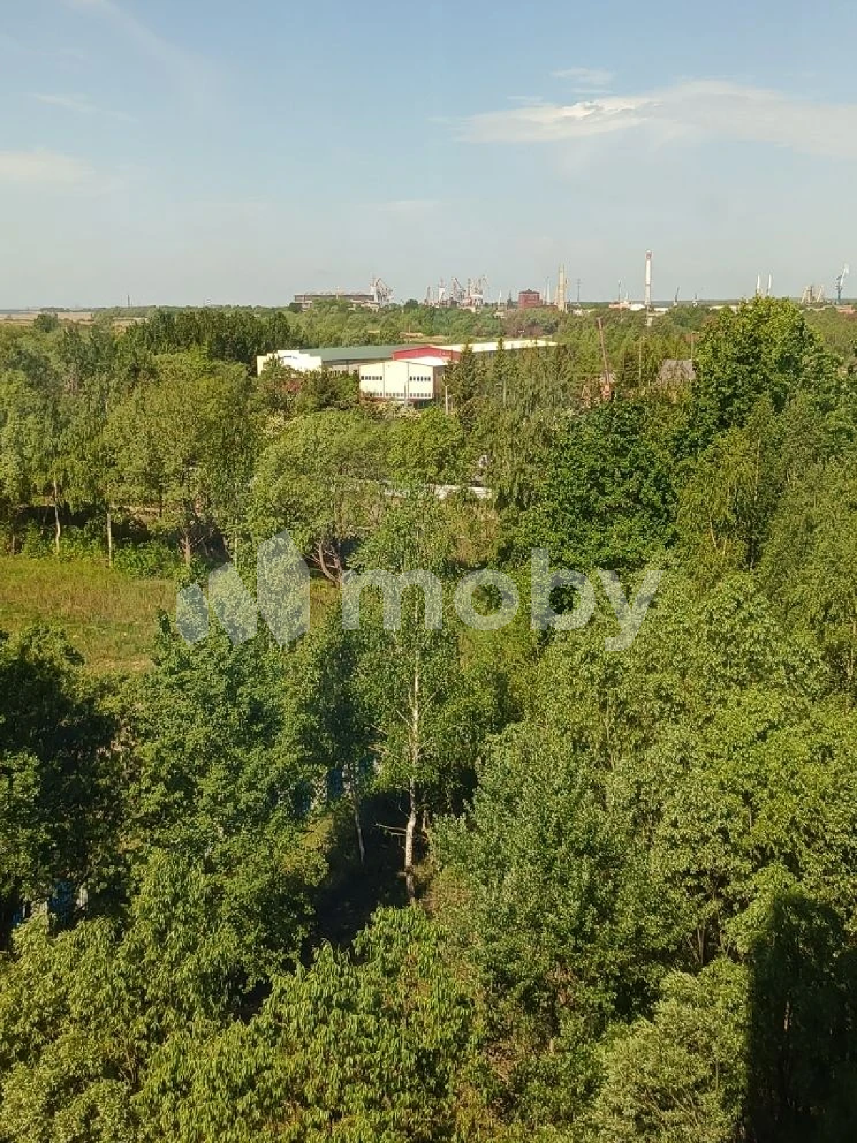 Фото: 1278c3ea-8d53-4e51-9c20-596913fb209f.png