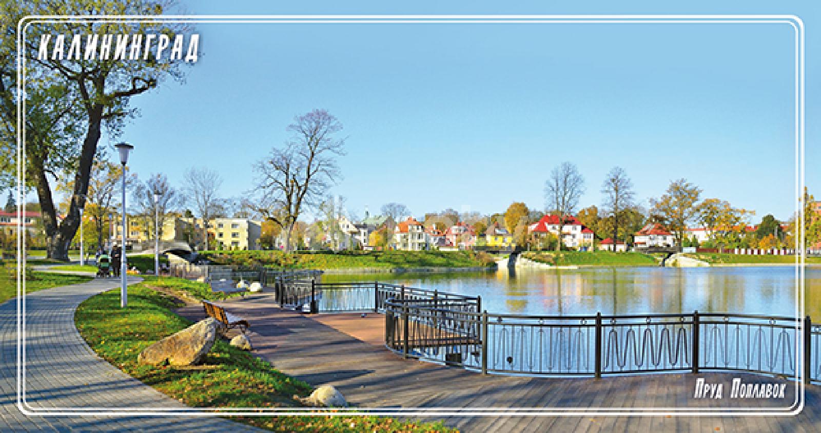 Фото: 134ce2a8-1920-4f83-a75f-7f92249deb67.jpg