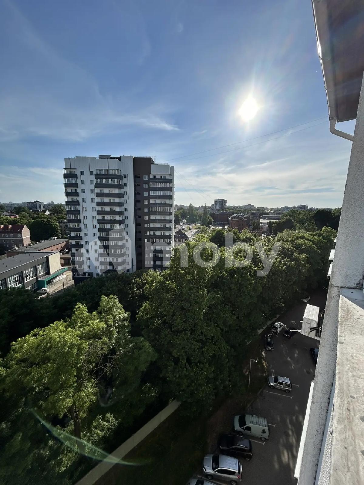 Фото: 140b0bca-9a2d-4335-b283-b28e7df6325e.jpg