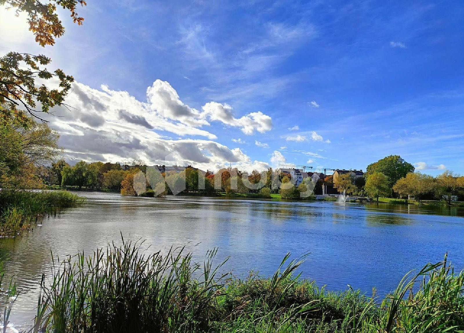 Фото: 14981a0a-b686-48db-856c-fca613239297.jpg