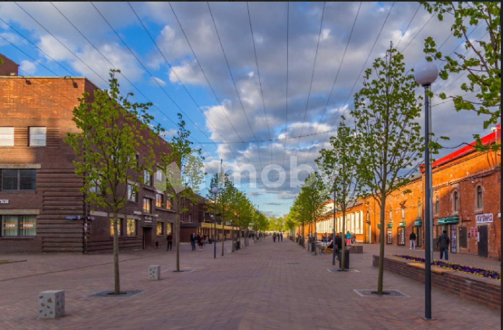 Фото: 14d7c8f9-d01d-41bd-a7c4-d18546074580.png