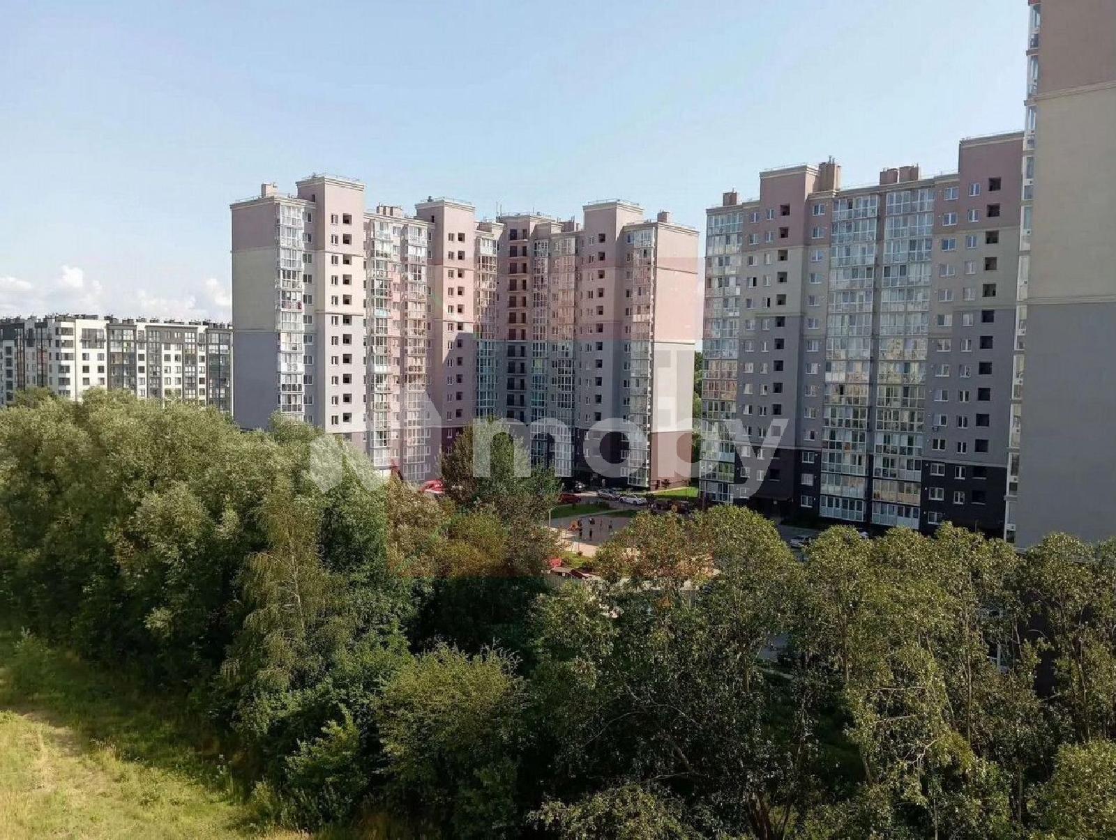 Фото: 160c9167-6055-4ce4-a03c-20abfa64efe7.jpg