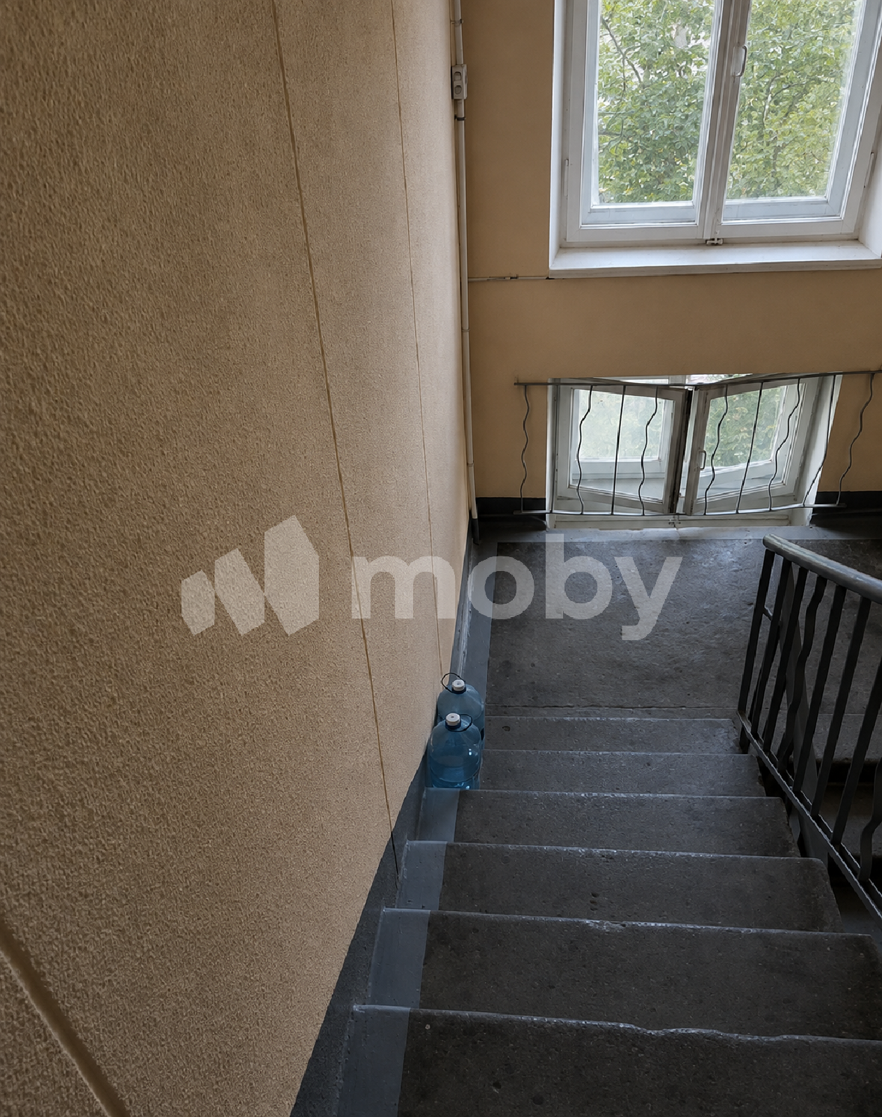 Фото: 16407e9f-954b-4a2e-a8bc-b21540cf3907.png