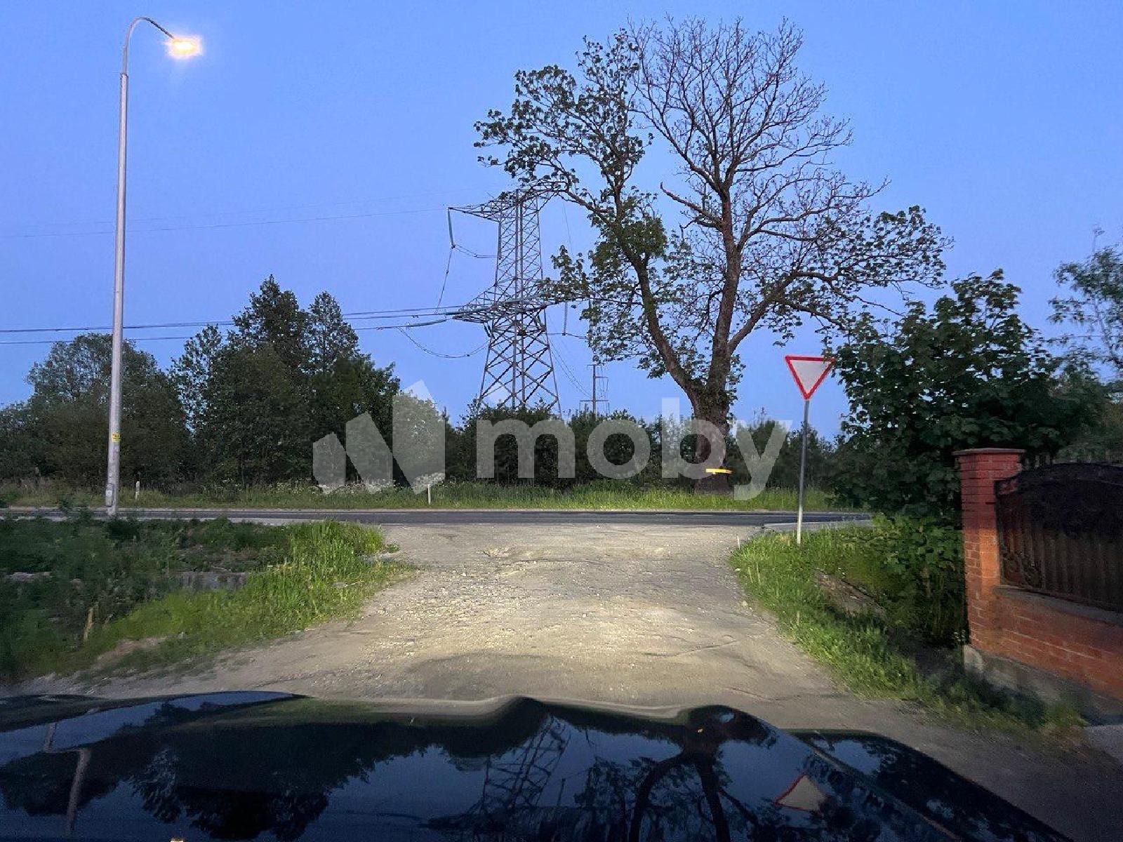 Фото: 1848dce5-b155-4111-ac5a-4ce11ef47b56.jpg