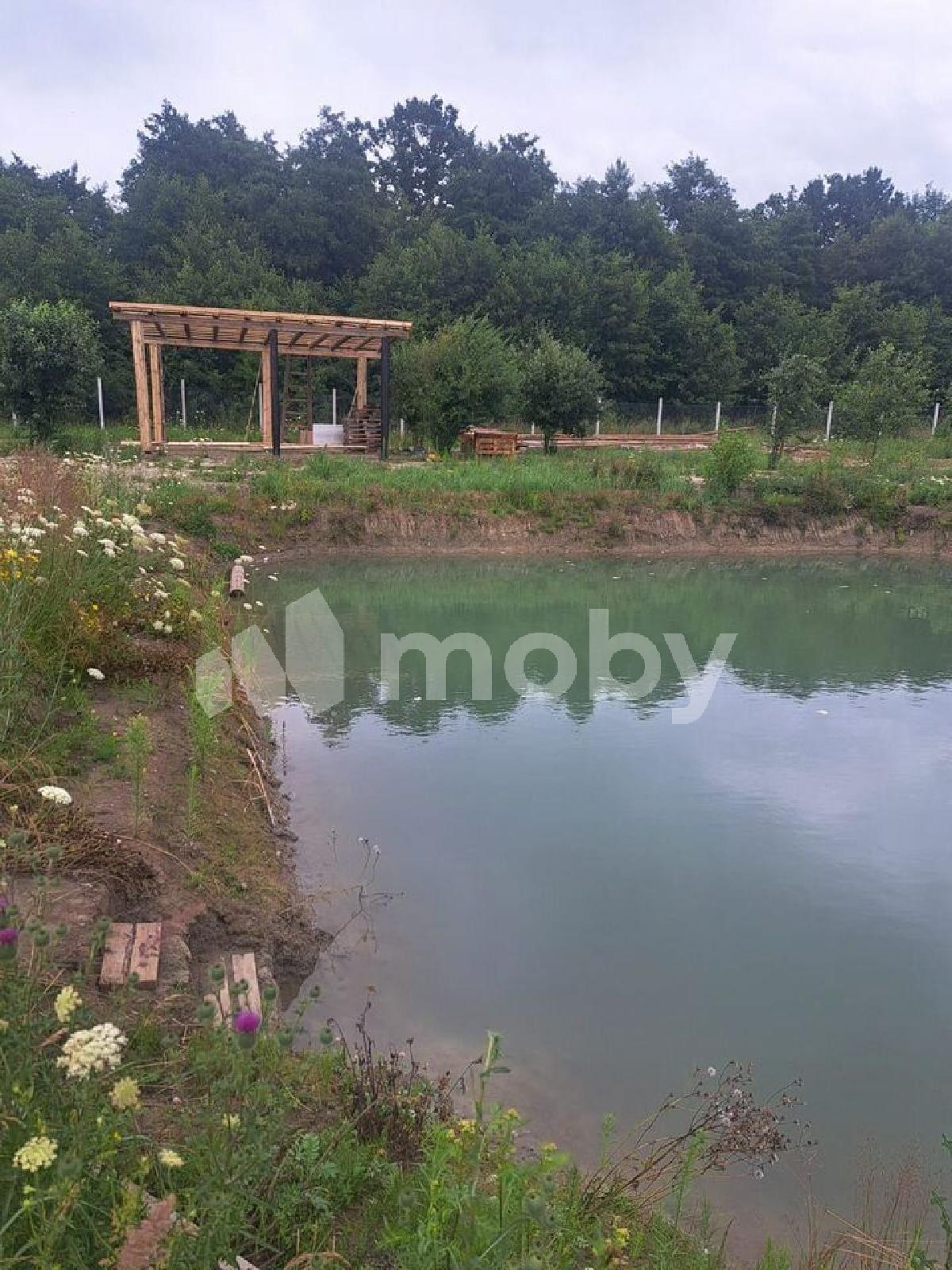 Фото: 184aa5cb-1b46-413f-b8ba-d99eacff79dc.jpg