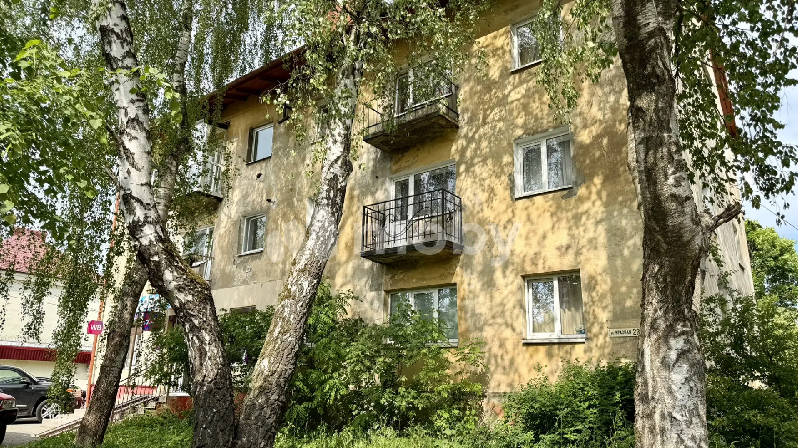 Фото: 186e5dc3-dae2-4cea-8e0f-1ee638ca73d4.png