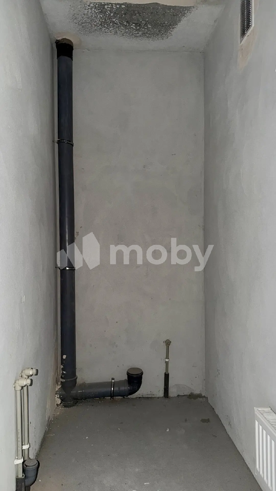 Фото: 18c714ad-6ad5-4360-a706-c09944bdcd4d.png
