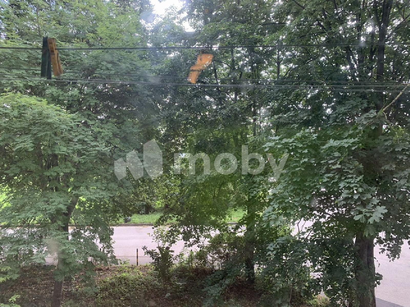 Фото: 1922aaa2-70f1-4c29-bf76-29d173edafba.jpg