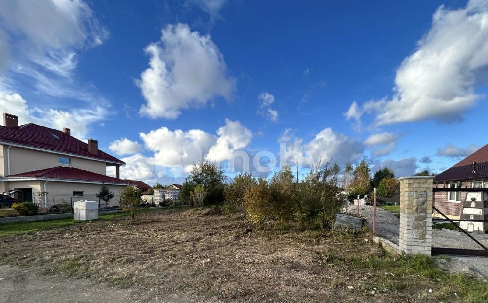 Фото: 19675fd5-eade-4a42-ab29-f15e3c8e72e8.jpg