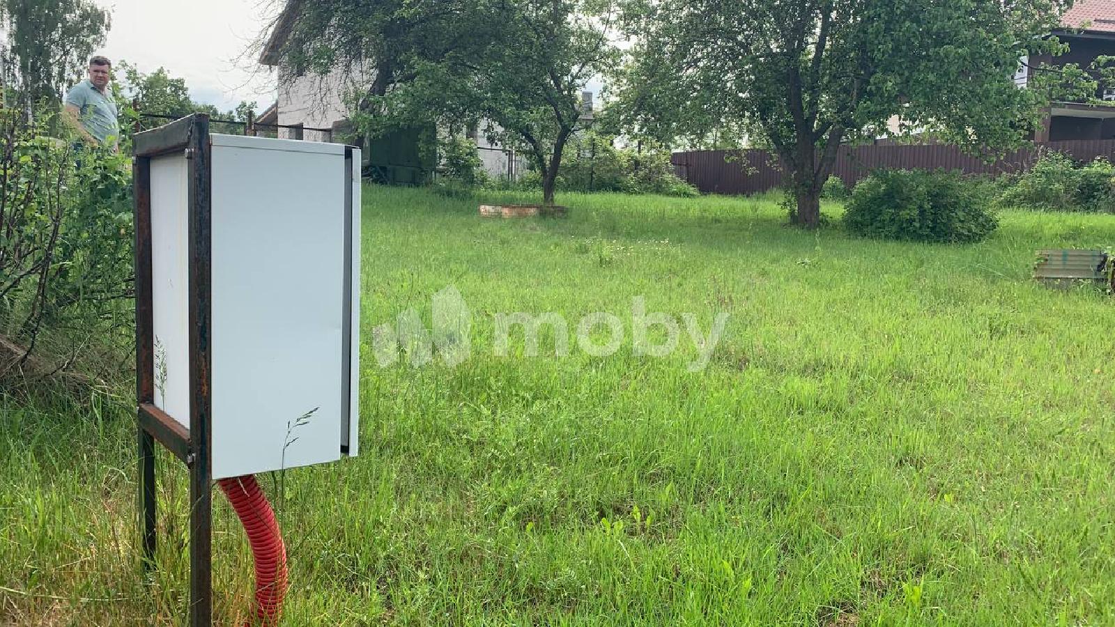 Фото: 196edd3c-1285-4842-90b4-47739a8c730a.jpeg