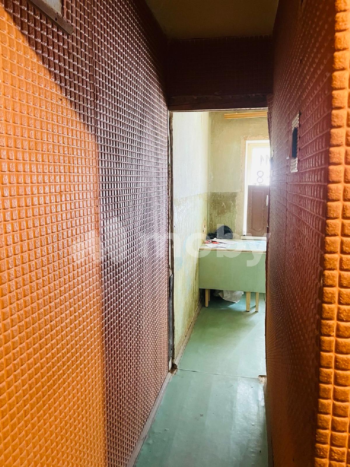 Фото: 1d8b3f60-de12-4dcd-98aa-b89a7e5a527e.jpg