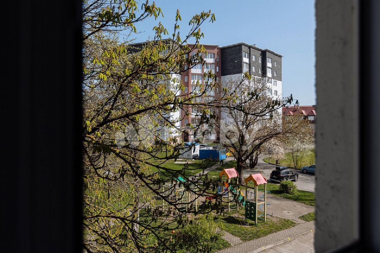 Фото: 1ddb7475-a293-49fe-8af0-f6c6b8484855.jpg