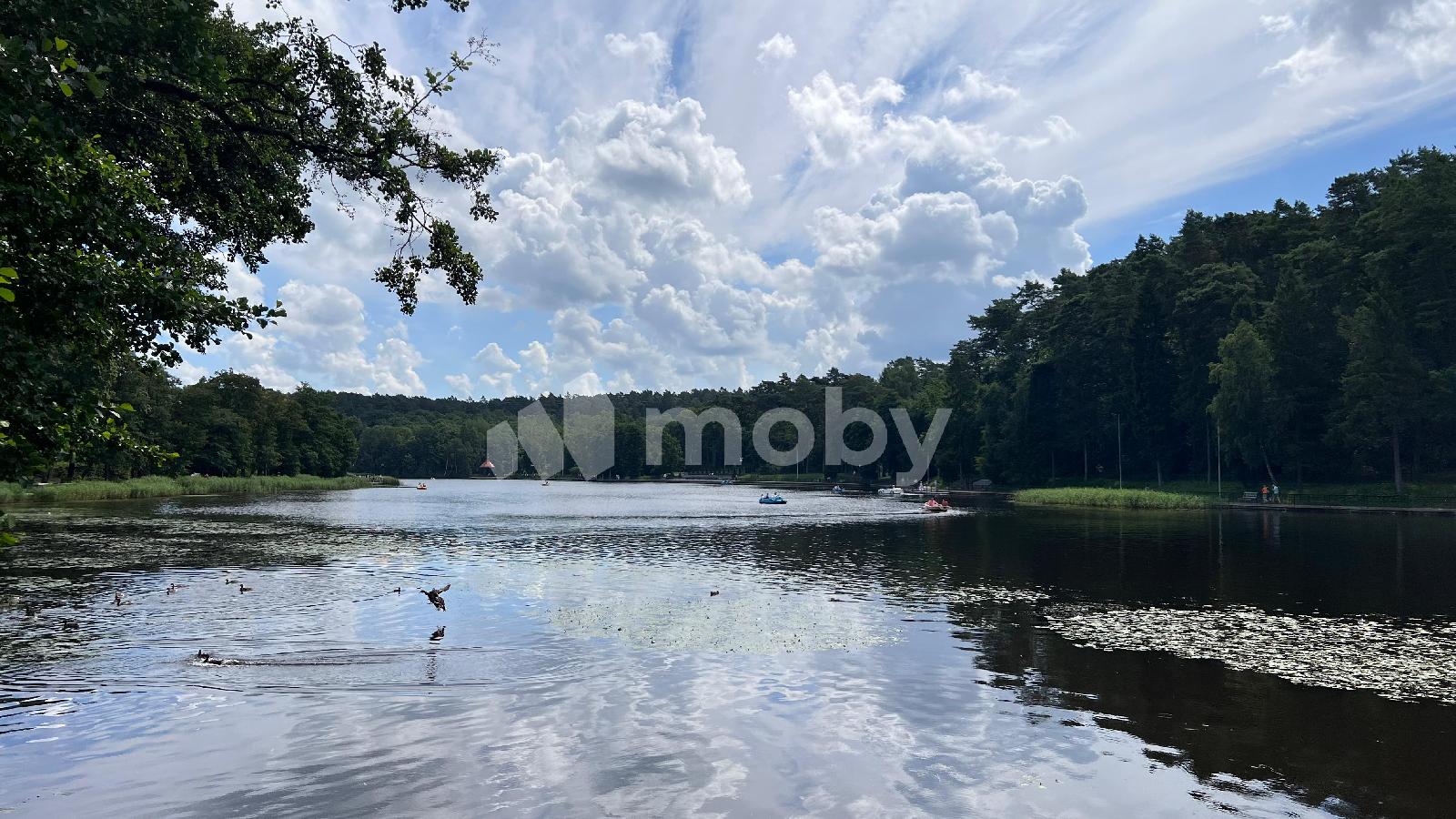 Фото: 1dffe833-1efd-43f9-b54a-d116a1f369d1.jpeg