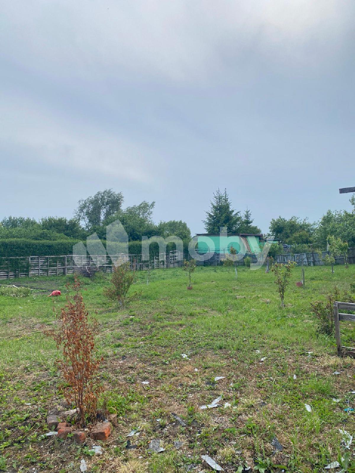 Фото: 1efa90f9-c1f2-46d5-a0d5-76aa308d0230.jpg