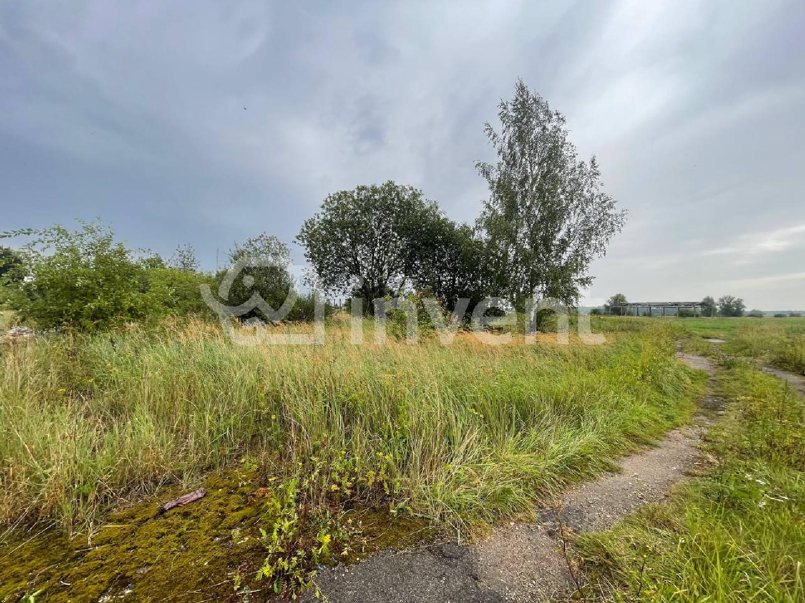 Фото: 2102be46-c9e6-4095-b569-57b8ec303d1e.jpeg